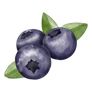 Blueberry icon