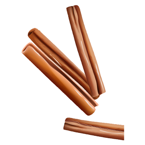 Cinnamon icon