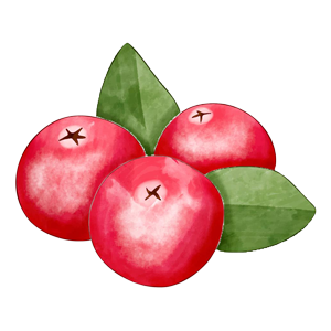 Cranberry icon