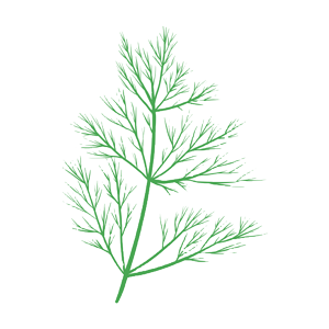 Dill icon
