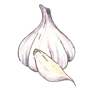 Garlic icon