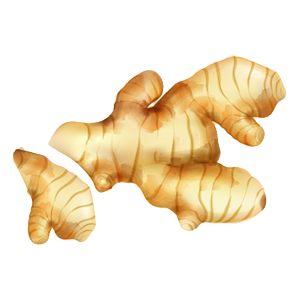 Ginger icon