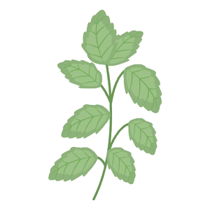 Lemon Balm