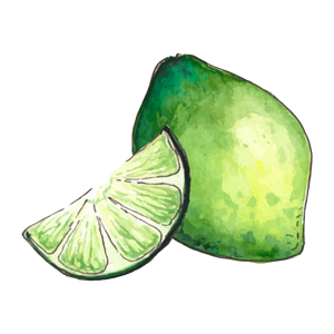 Lime icon