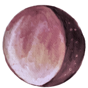Waning Gibbous Moon