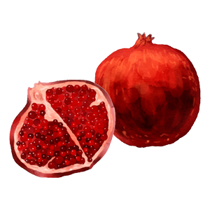 Pomegranate icon