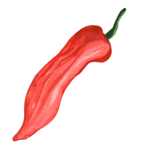 Red chili icon
