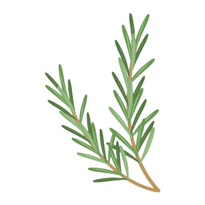 Rosemary icon