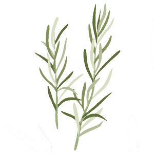 Rosemary sprig