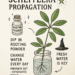Hand-drawn printable schefflera propagation guide with watercolor accents and witchy charm