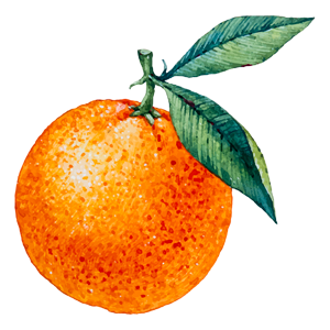 Orange icon