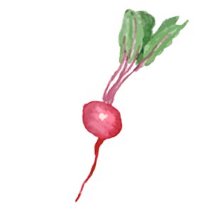 Radish