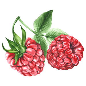 Raspberry icon