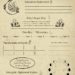 New Moon Manifestation worksheet with lunar, crystal, and botanical illustrations, designed to guide intention-setting and passive income goals.