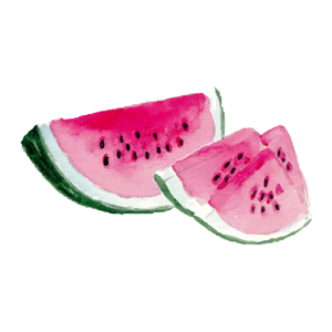 Watermelon icon